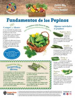 Fundamentos de los pepinos pagina 1