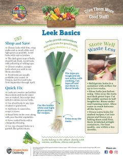 Leek Basics monthly magazine page 1