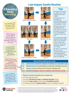 Aerobic Activity page 2