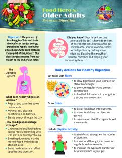 Focus on Digestion page 1