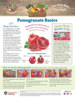 Pomegranate Basics page 1