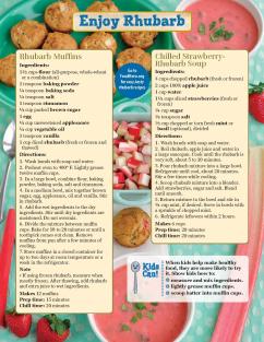 Rhubarb Basics