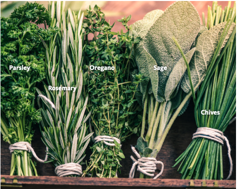 Bunches of herbs on wood table