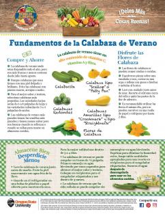 Fundamentos de la Calabaza de Verano Pagina 1