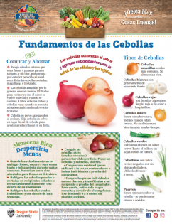 Heroe de Alimentos Mensual sobre Cebollas pagina 1 