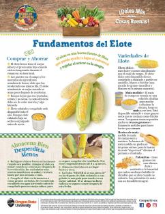 Elote Pagina 1