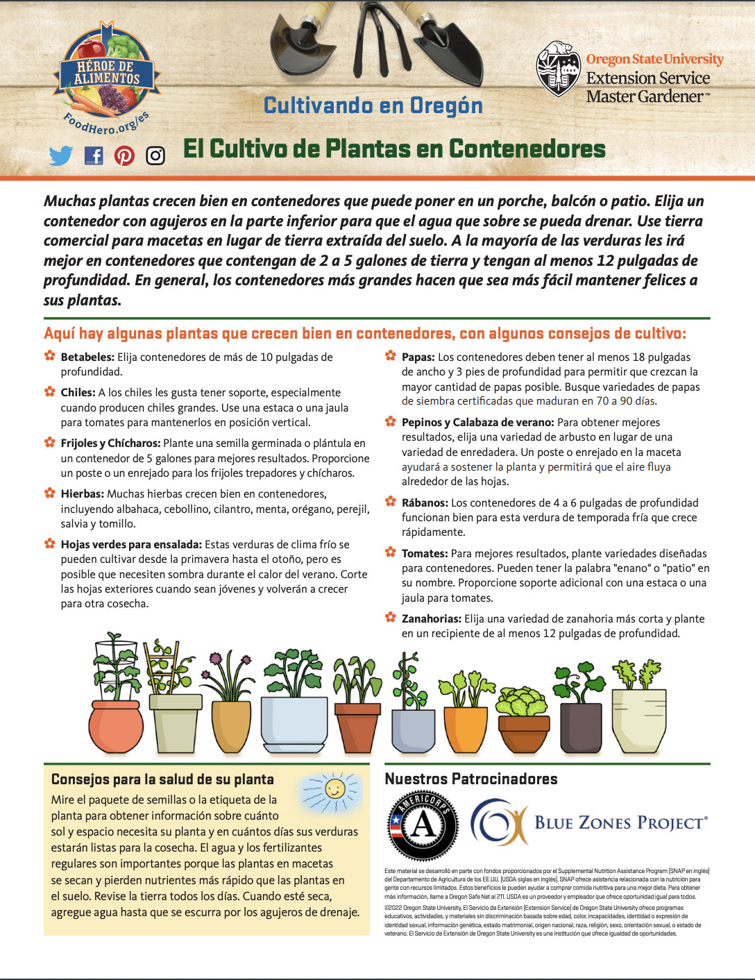 El Cultivo de Plantas en Contenedores