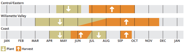 3 regions of Oregon showing months to plant and harvest carrots