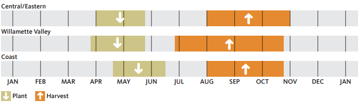 3 regions of Oregon showing months to plant and harvest potatoes.