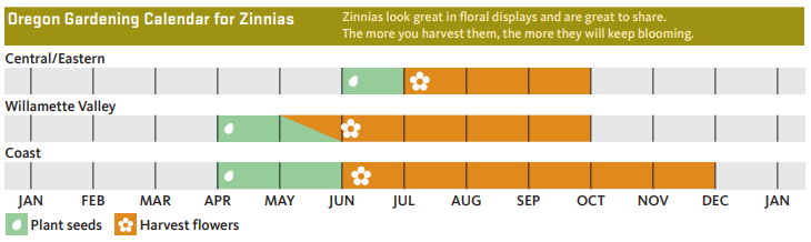 chart showing when to plant and harvest tomatoes in Oregon for each of 3 regions