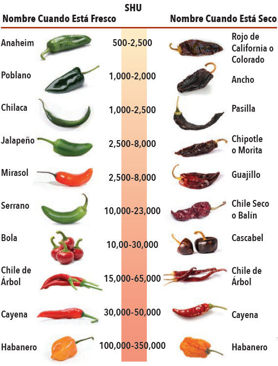 chiles picantes, fresco y seco y Shu