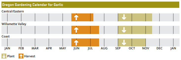 3 regions of Oregon showing months to plant and harvest garlic.