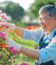 older man gardening