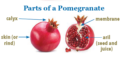 parts of a pomegranate