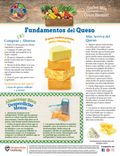 Heroe de Alimentos sobre Queso pagina 1 