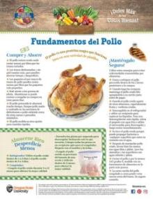 Pollo Pagina 1