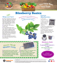 Blueberry Food Hero Monthly page 1