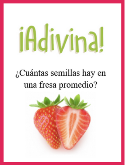 adivina