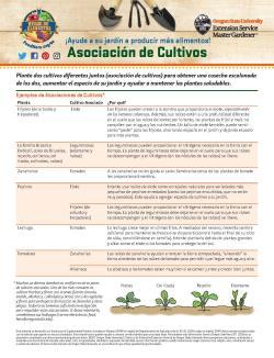 Asociación de Cultivos