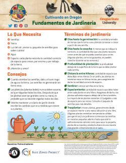 Fundamentos de Jardinería