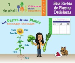 leccin 1 seis partes de planta