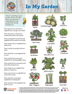 Image of In My Garden Activity Sheet