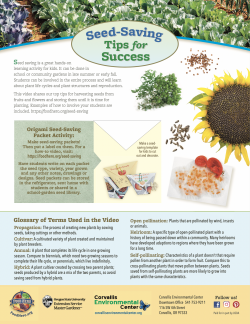 Seed Saving Tips 