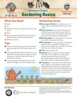 Gardening Basics