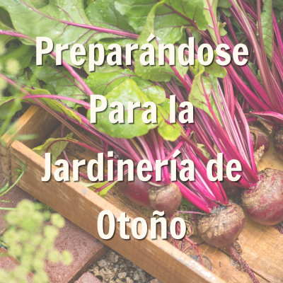 promoción de blog para prepararse para la jardinería de otoño