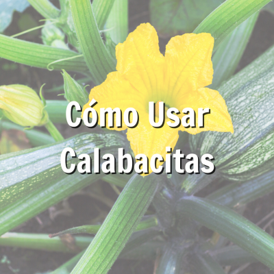 Promoción para usar calabacitas