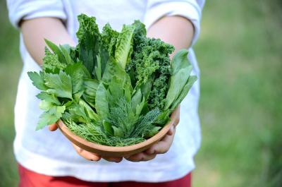 Grow Lettuce with Kids