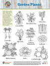 Garden Plants Coloring Sheet