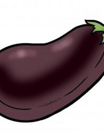 Eggplant Illustration