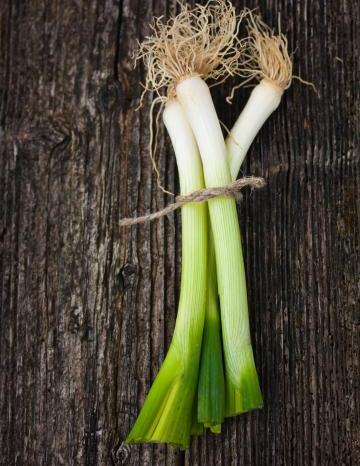 Leeks Recipes