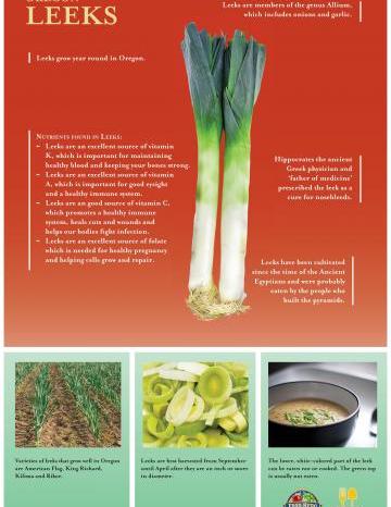 Leeks Oregon Harvest Poster