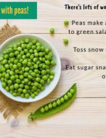 Pea Infographic