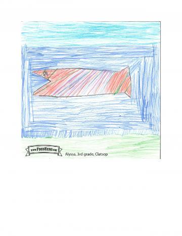 Kids Art Winners - Salmon