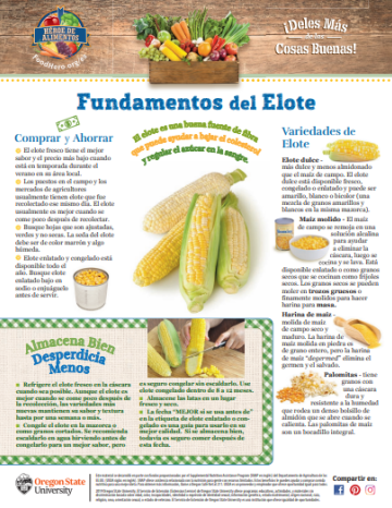 Boletin Mensual de Elote