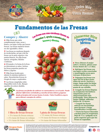 Boletin Mensual de Fresas