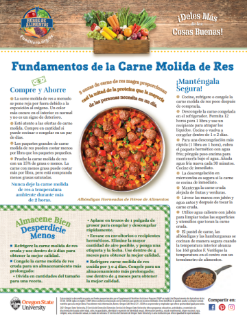 Carne Molida de Res