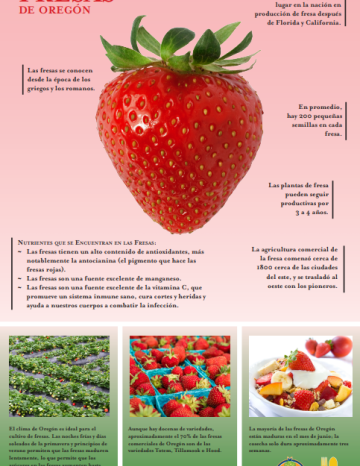 Póster de Fresas