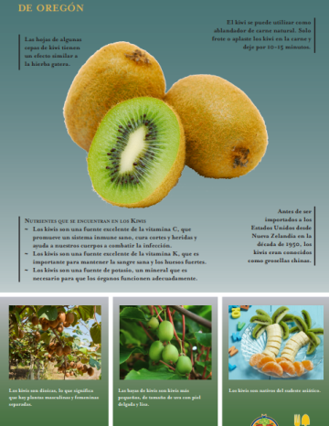 Póster de Kiwi