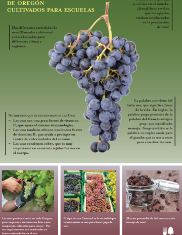 Póster de Uvas