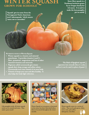 Winter Squash Oregon Harvest Poster