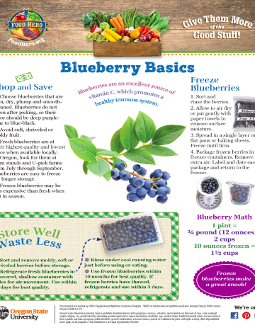 Blueberry Food Hero Monthly 