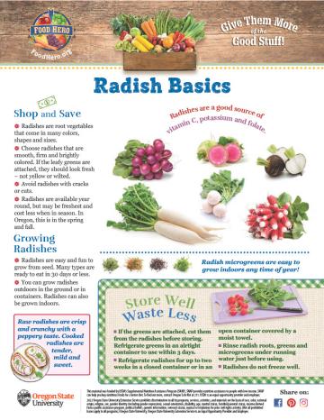 Radishes Monthly Magazine