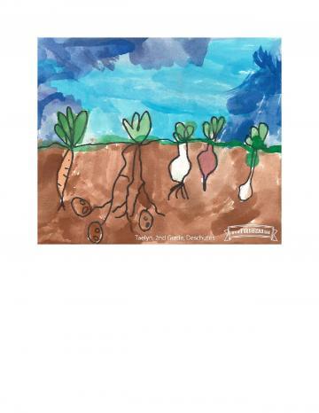 Kids Art Winners - Beets