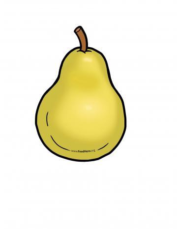 Pears Illustration